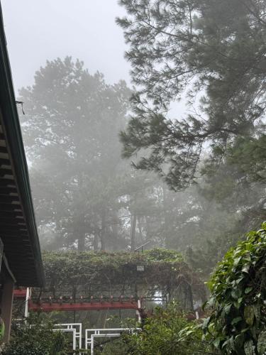 Odara Pines Garden The Ridge House 1BR in Baguio