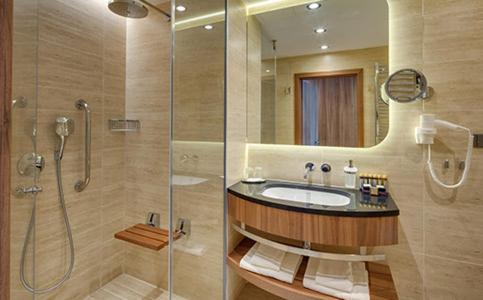 Premium Room with Wellness Access