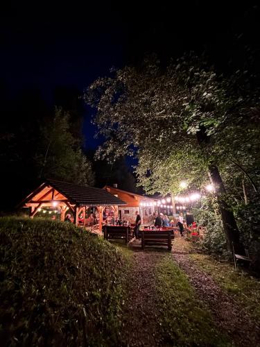 Guest House Chata Alpina - image 21