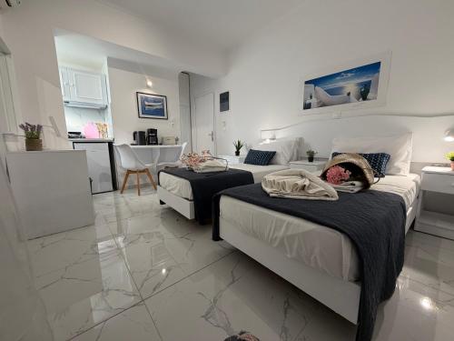 Nautilus City Studios & Apartments 2