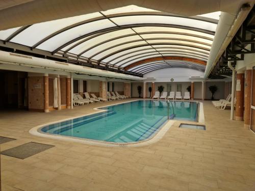 Swimming pool, Fiore Wellness Apartman in Zalakaros
