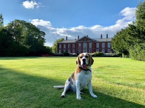 Bosworth Hall Hotel & Spa Hotel de charme Bardon Hill