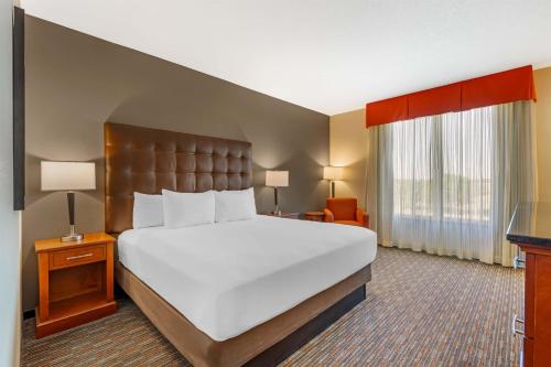 1 king bed
