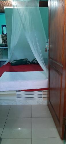 Dendi guest house & orang utan explore, Bukit Lawang
