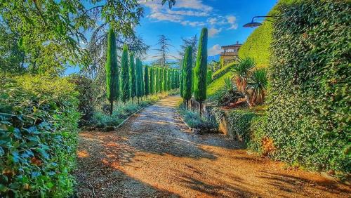 Villa Serena in Coreglia Antelminelli