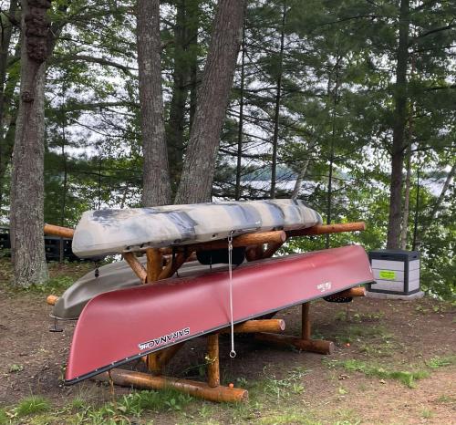 Fox's Den Fence Lake Home - Private with Lake View