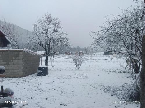 Kamp Suad in Bihac