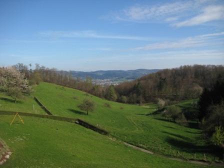 Waldschenke Fuhr - image 5