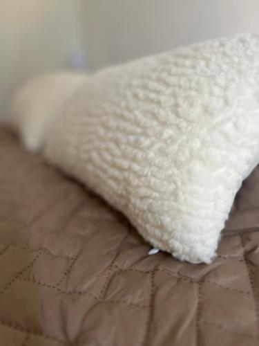 FA alojamiento urbano