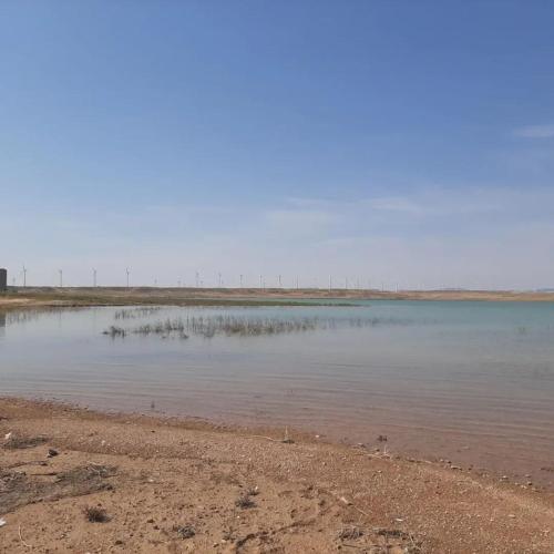 Apartamento Rural Borgia in Borja