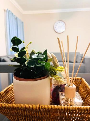 Comfort Meets Style, 1BR, Fast Wi-Fi, Free Parking