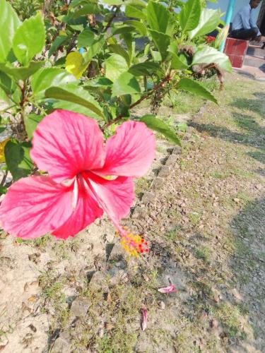 Bonolota Eco Villa – khách sạn tại Khulna