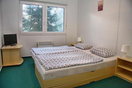 Chatova osada Family Resort Thermalpark inclusiv in Patince
