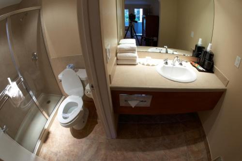 Bathroom, PREMIER INNS TOLLESON in Phoenix (AZ)