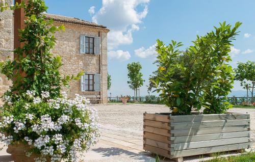 Viesnīcas āriene, Az Ag Ricciarelli N in San Giuliano di Puglia