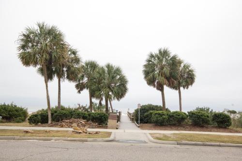Scenic Views from the balcony at Ocean Forest Plaza Condos - image 6