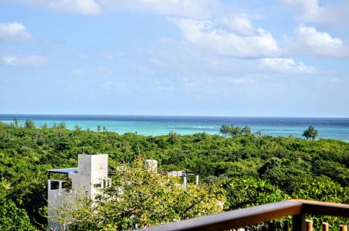 Luxury Caribique Ocean View Condo Jacuzzi Telescope Rooftop Pool