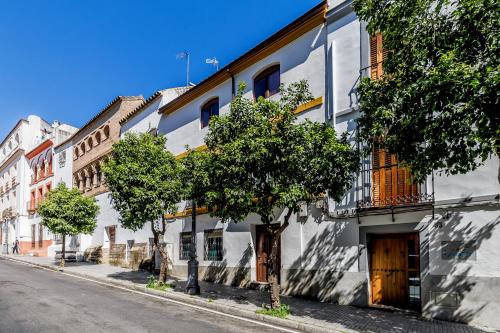 Casa Los Naranjos - Terraza en el Casco Histórico, Córdoba (fotografie 6)