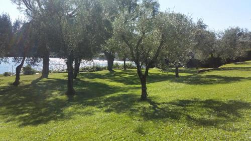 Villa Elena - image 14