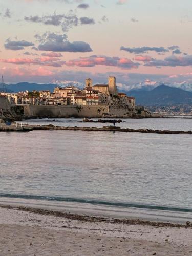 Antibes centre Dernier Etage 2 pieces near Le Collier - Pizzeria & Restaurant