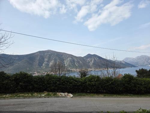Symphony of the Kotor Bay Sea