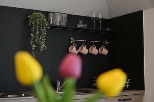 Apartmani Lucija in Ludbreg