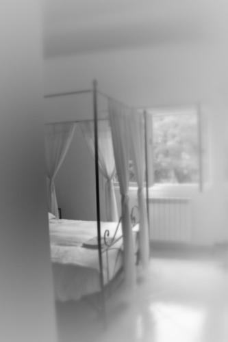 Agriturismo La Muratella - image 2