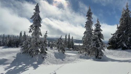Feriehjemmet in Sjusjoen