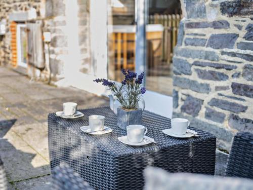 Seadmed, 2 Bed in Launceston oc-95236 in St Giles on the Heath