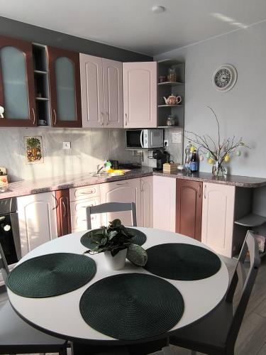 Ludza stay Apartment in 盧扎