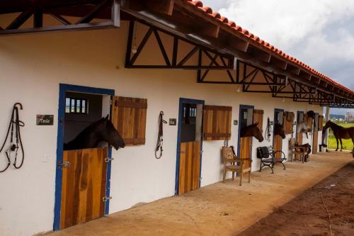 Selah - Estação Ecológica (Selah - Estacao Ecologica) in Cocalzinho De Goias