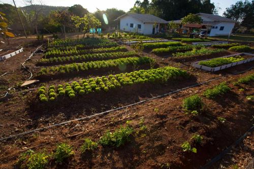 Selah - Estação Ecológica (Selah - Estacao Ecologica) in Cocalzinho De Goias