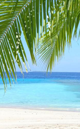 Suite, superior, vista sul mare
