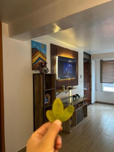 Cozy Inn Apartment Cusco