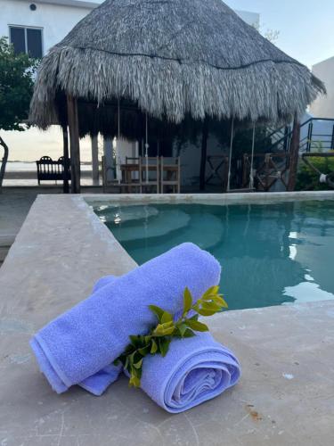 Casa flamingos