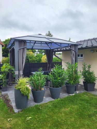 景觀, Appartement Ferienwohnung in 赫弗爾霍夫