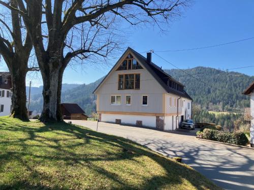 Schwarzwald-Ferienwohnungen Haus Linde - Seewald