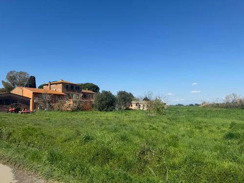 Сад, Agriturismo Pian di Barca in Прінципіна Тера