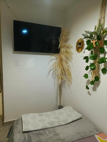 Habitacion Sencilla con baño compartido en Apartamento ambiente NO FAMILIAR