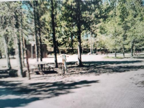 Sawtelle Mountain Resort in Island Park, USA