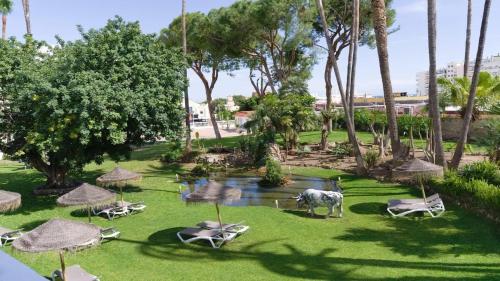 BLUESEA Al Andalus - image 2