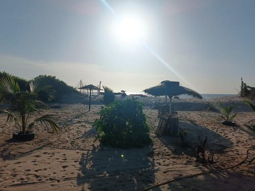 playa, Demba Dou Suites Gardens in Tanji