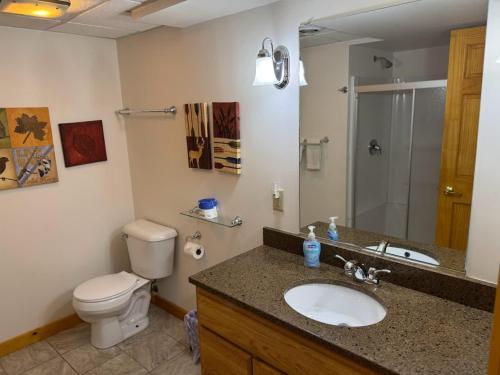 Camp Pinemere - Large Northwoods Private Home in Minocqua, USA