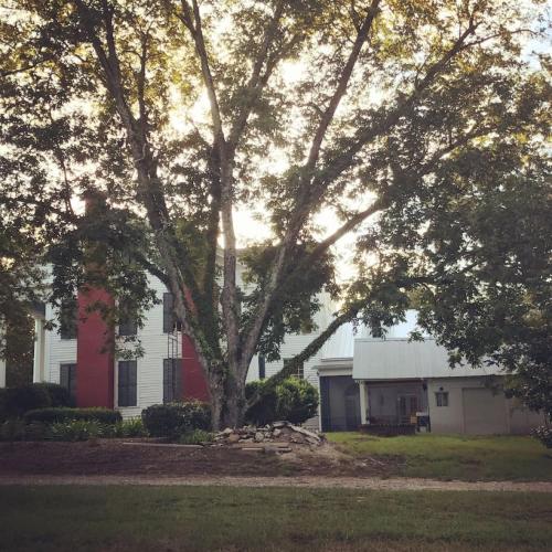 Pecan Shelling House - 35 Mins to Univ of Alabama in Eutaw (AL)