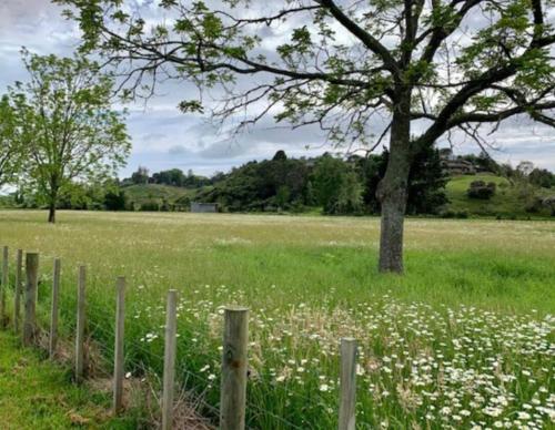 Cosy Tauranga River Cottage with Rural Outlook in Te Puna