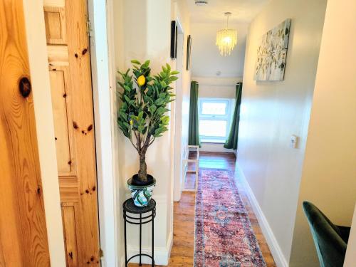 Comfy Bedroom and Private Bathroom on the Top Floor of a Home Stay -10 mins walk to the center - Off in 尚登