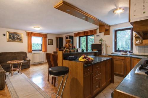مطبخ, Apartment Satya in دوبرنا