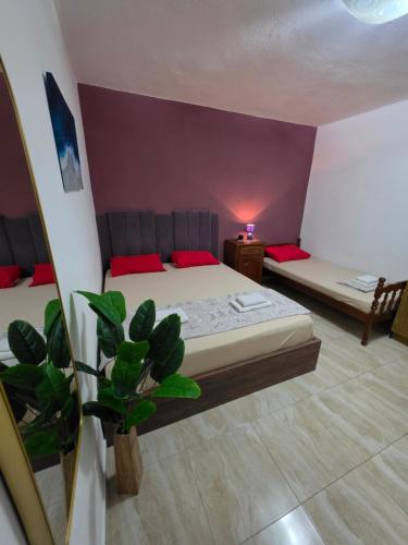 Viki Apartmani