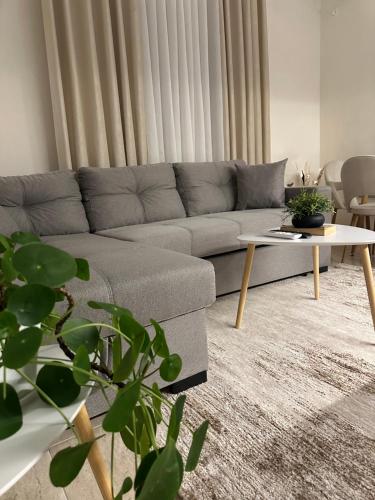 Стая за гости, Boulevard Apartments Peshkopi in Пешкопия