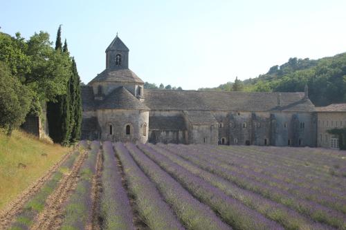 Les Guillaume Rey